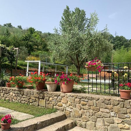 Guest House Torre Guelfa, Vinsantaia 필리네발다르노 외부 사진
